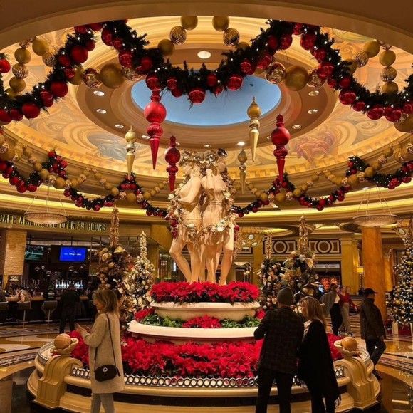 Meet your Posher, Patrick - Picture 1 of 1